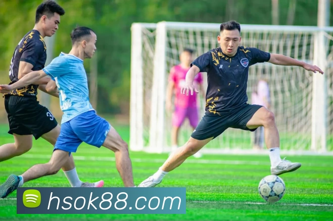 恒盛娱乐官网平台生态图